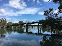 Weyba Creek Conservation Park in Noosaville QLD, Australia