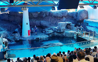 SEA LIFE Sunshine Coast Aquarium in Mooloolaba QLD, Australia