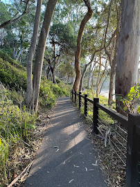 Noosa Coastal Walk in Noosa Heads QLD, Australia
