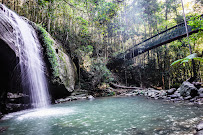 Buderim Forest Park in Buderim QLD, Australia