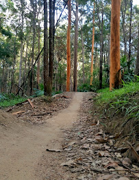 Wooroi Day Use Area in Tewantin QLD, Australia