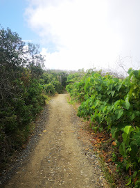 Alexandria Bay Walk in Sunshine Beach QLD, Australia