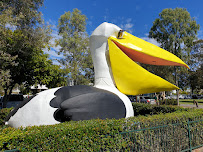 The Big Pelican in Noosaville QLD, Australia