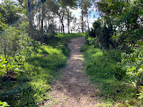 Noosa Spit Recreation Reserve in Noosa Heads QLD, Australia