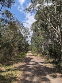 Dbird track. in Coolum Beach QLD, Australia