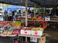 Yandina Markets – Saturday in Yandina QLD, Australia