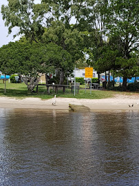 Keyser Island Conservation Park in Noosaville QLD, Australia