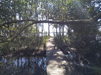 Weyba Creek Conservation Park in Noosaville QLD, Australia